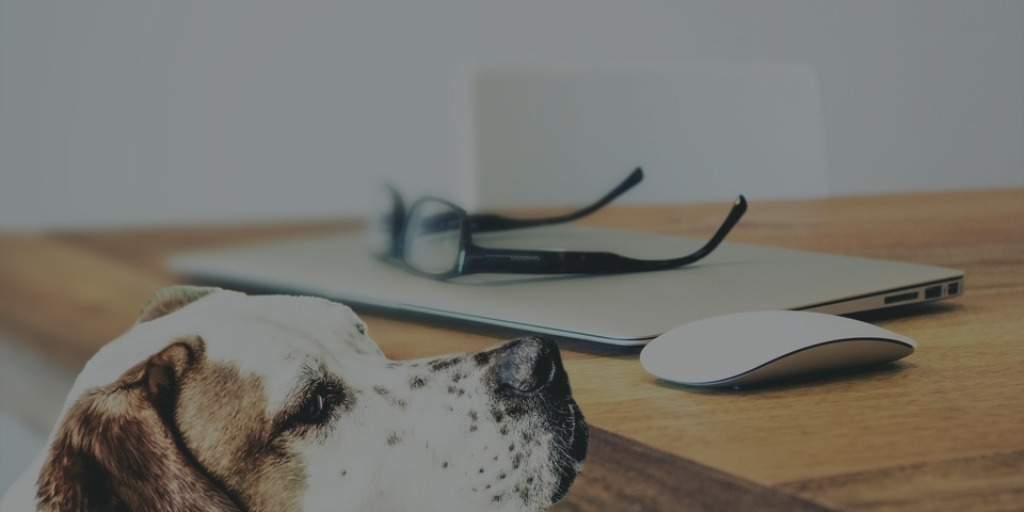 How to Bring Empathy and Compassion in Your Business
